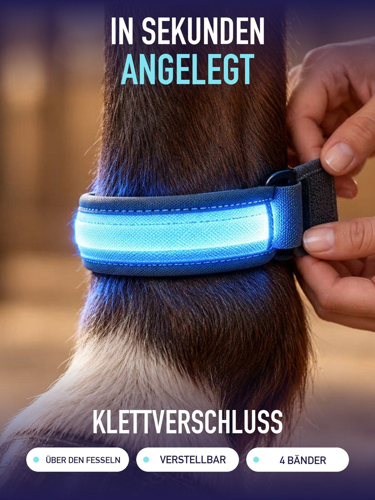 In Sekunden angelegt: Beinband mit Klettverschluss über der Fessel