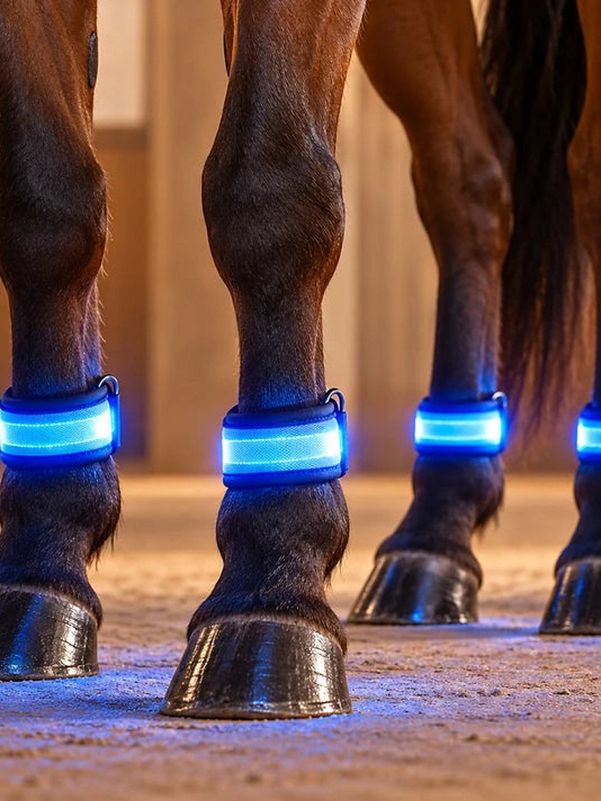 Blau leuchtende Lumare Beinbänder über den Hufen