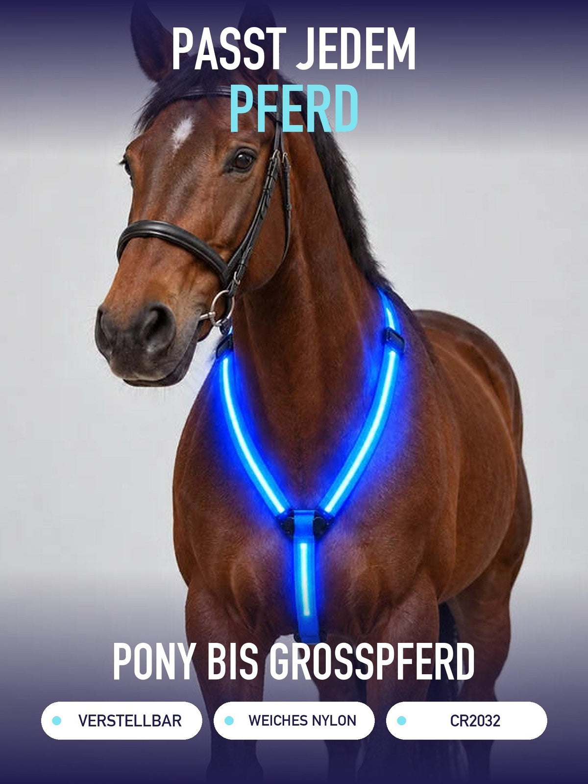 Passt jedem Pferd: Brustgurt vom Pony bis zum Großpferd, verstellbar