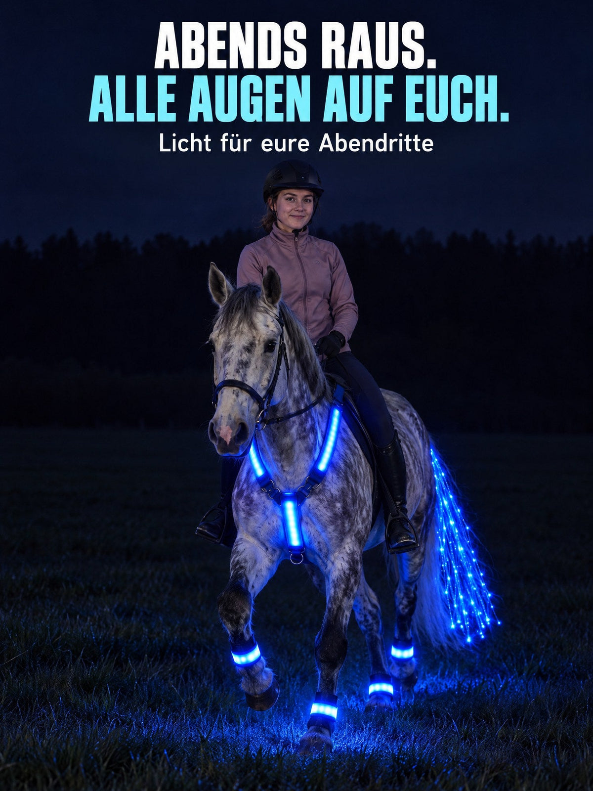 Abends raus, alle Augen auf euch: Reiterin auf Schimmel mit leuchtendem Lumare Set bei Nacht