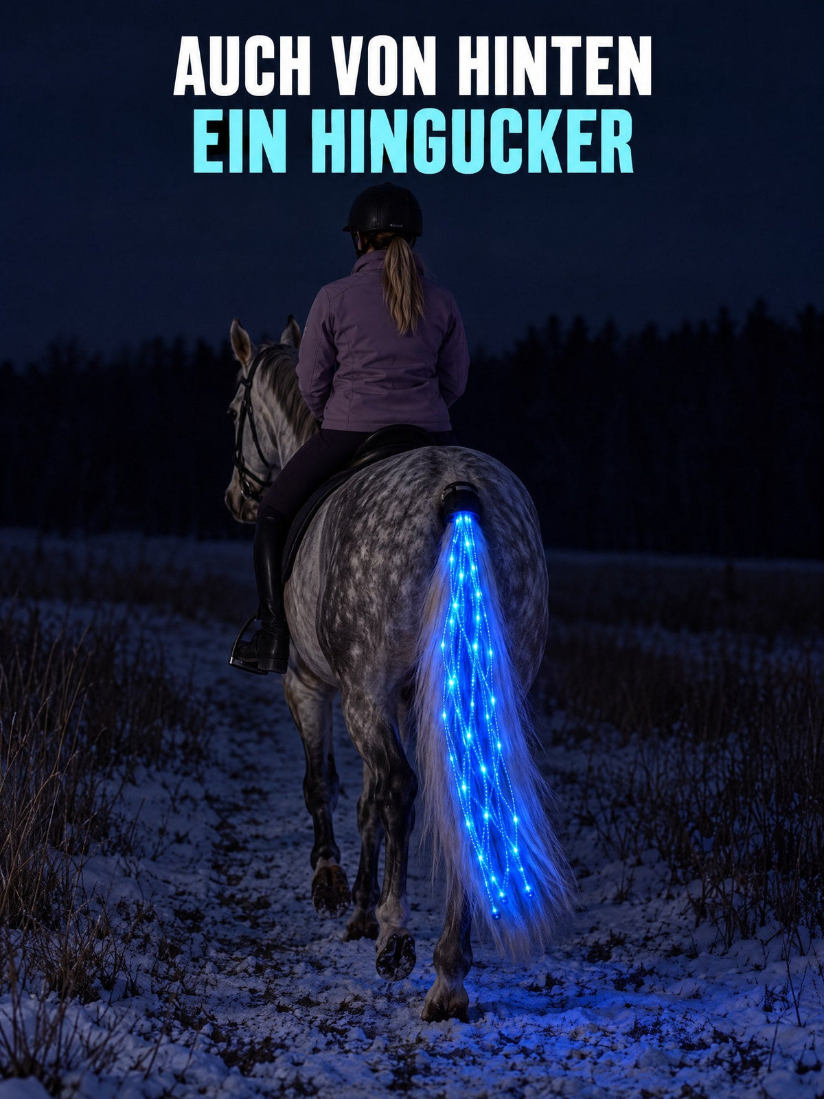 Auch von hinten ein Hingucker: Schimmel mit leuchtendem Schweif bei Nacht